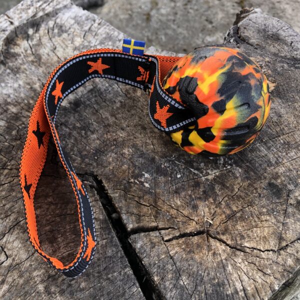 Halsband ”My dog is a star” Orange - Bild 4