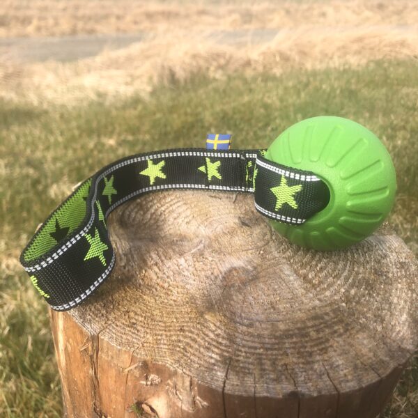 Halsband "My dog is a star" Neongrön - Bild 3