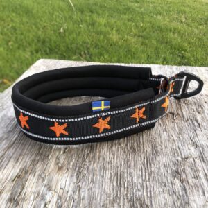 Halsband ”My dog is a star” Orange