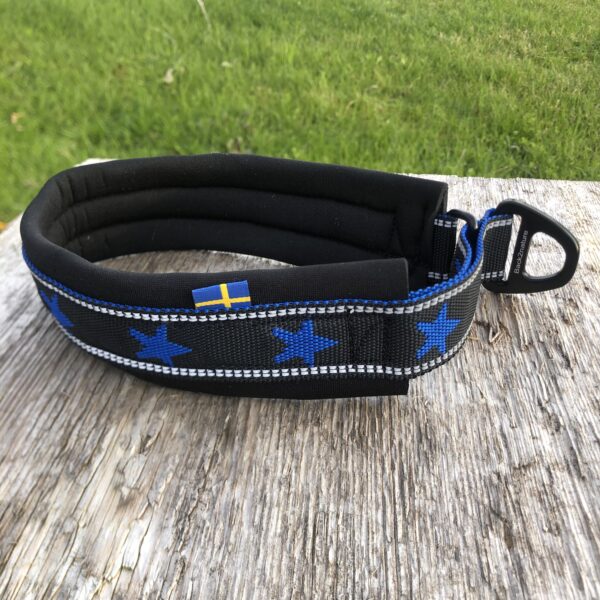 Halsband ”My dog is a star” Royalblå - Bild 4