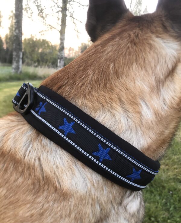 Halsband ”My dog is a star” Royalblå - Bild 5