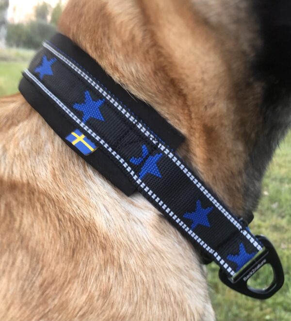 Halsband ”My dog is a star” Royalblå